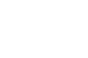 zin simple logo