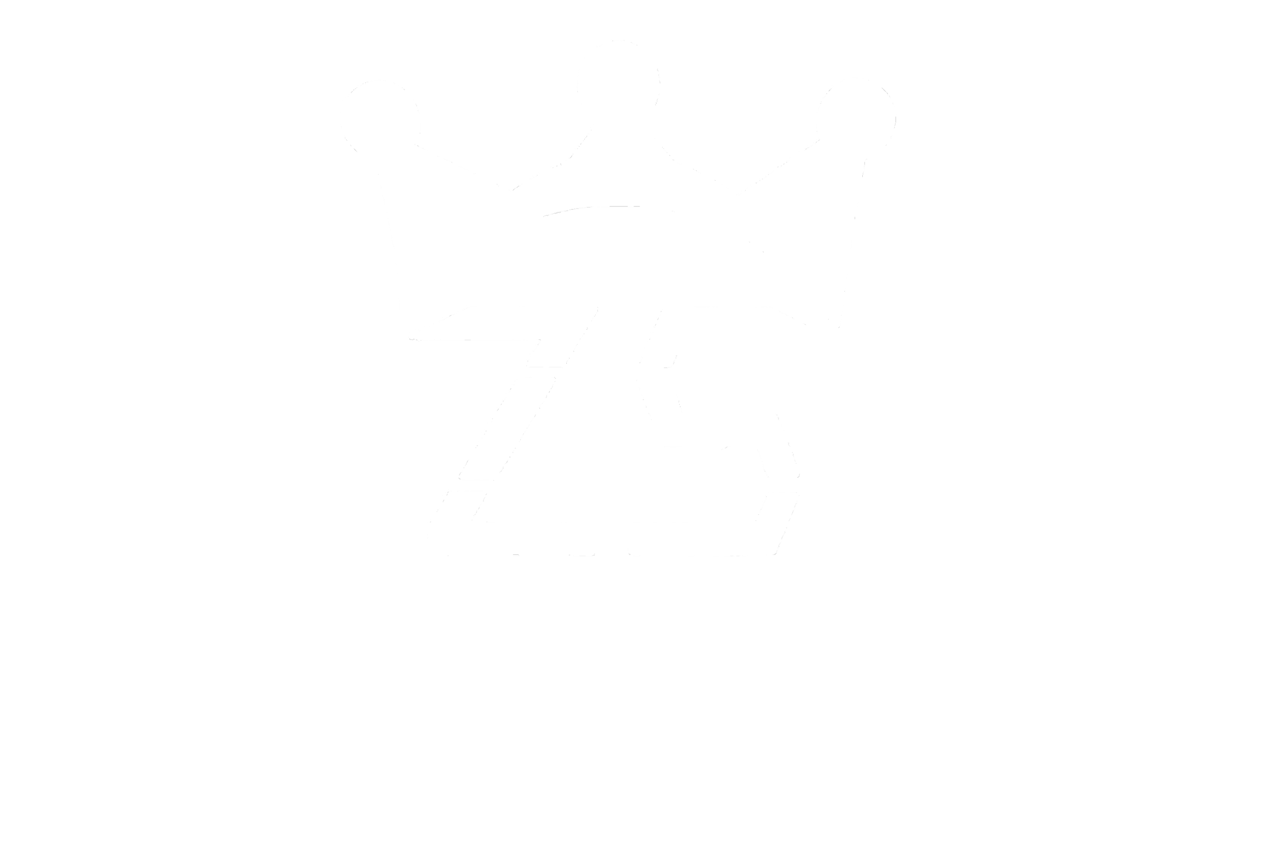 zin simple logo